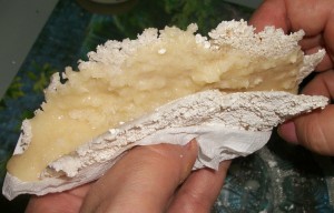 (Foto: Reprodução / wwweunacozinha.blogspot.com)