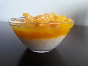 Creme de Tapioca e Manga Creme de Tapioca e Manga